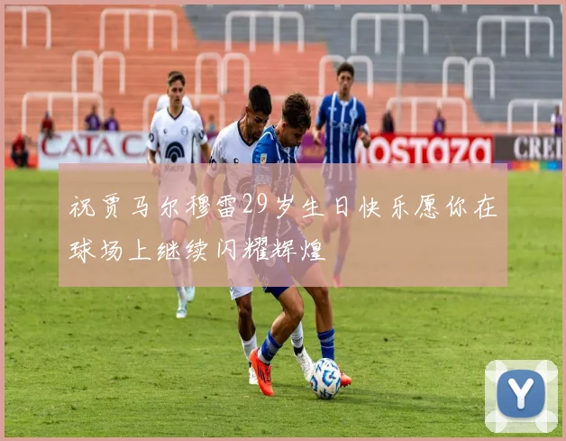祝贾马尔穆雷29岁生日快乐愿你在球场上继续闪耀辉煌