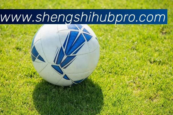 盛世娱乐官网服务体系